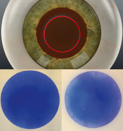 comparison-2.jpg