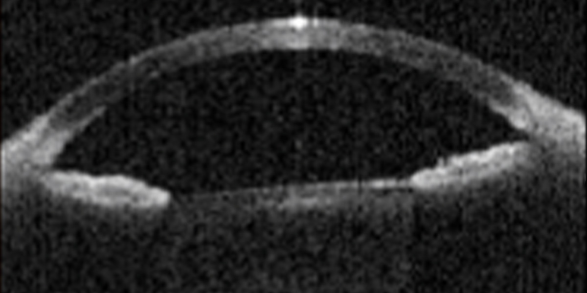 img01.jpg
